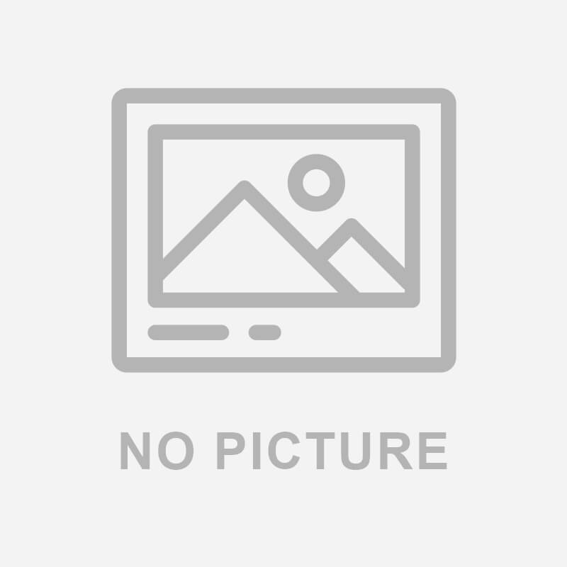 PUMA 條紋跳豹短襪 白 BB101602